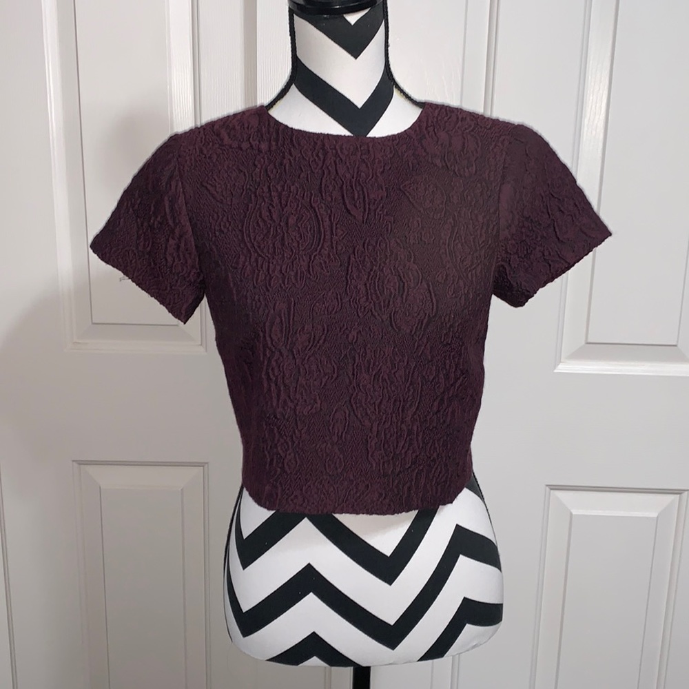 ALICE + OLIVIA Sarina Short Sleeve Jacquard Crop Top